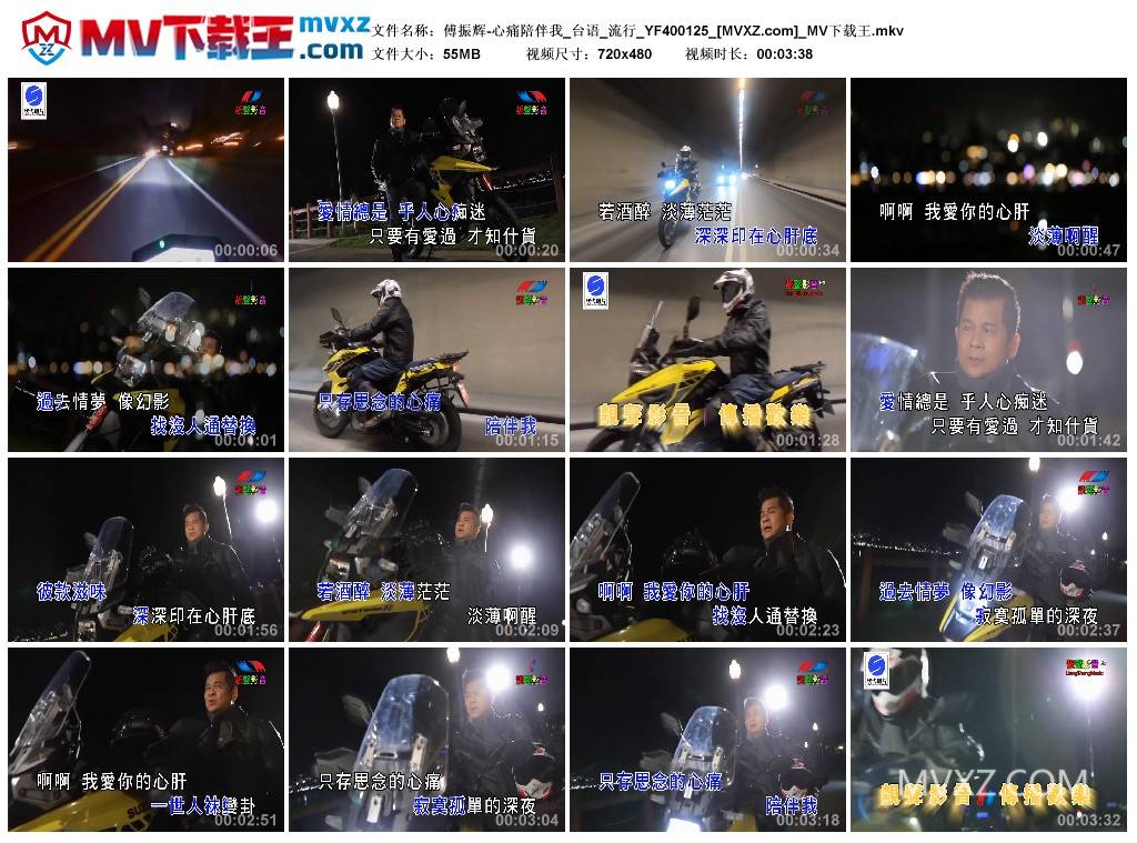 傅振辉-心痛陪伴我_台语_流行_YF400125